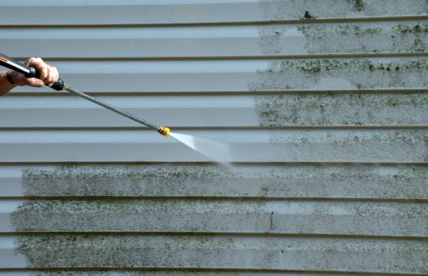 Best Sidewalk Pressure Washing  in New Johnsonville, TN