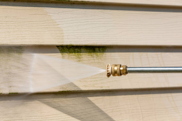 Best Exterior Home Cleaning  in New Johnsonville, TN